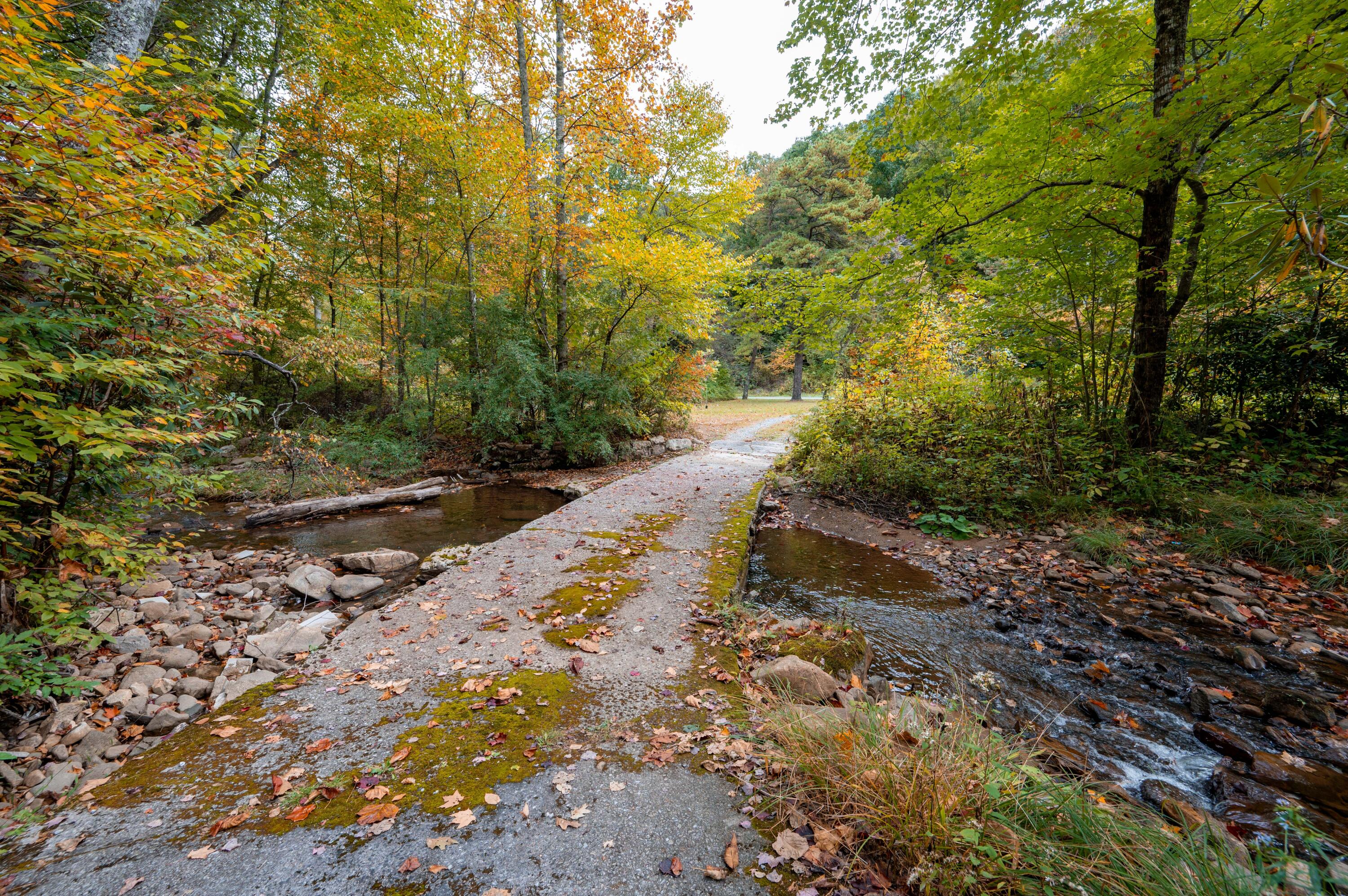 860 Flat Ridge Road Sugar Grove, VA 24375 - Photo 63 of 92 Marion-64