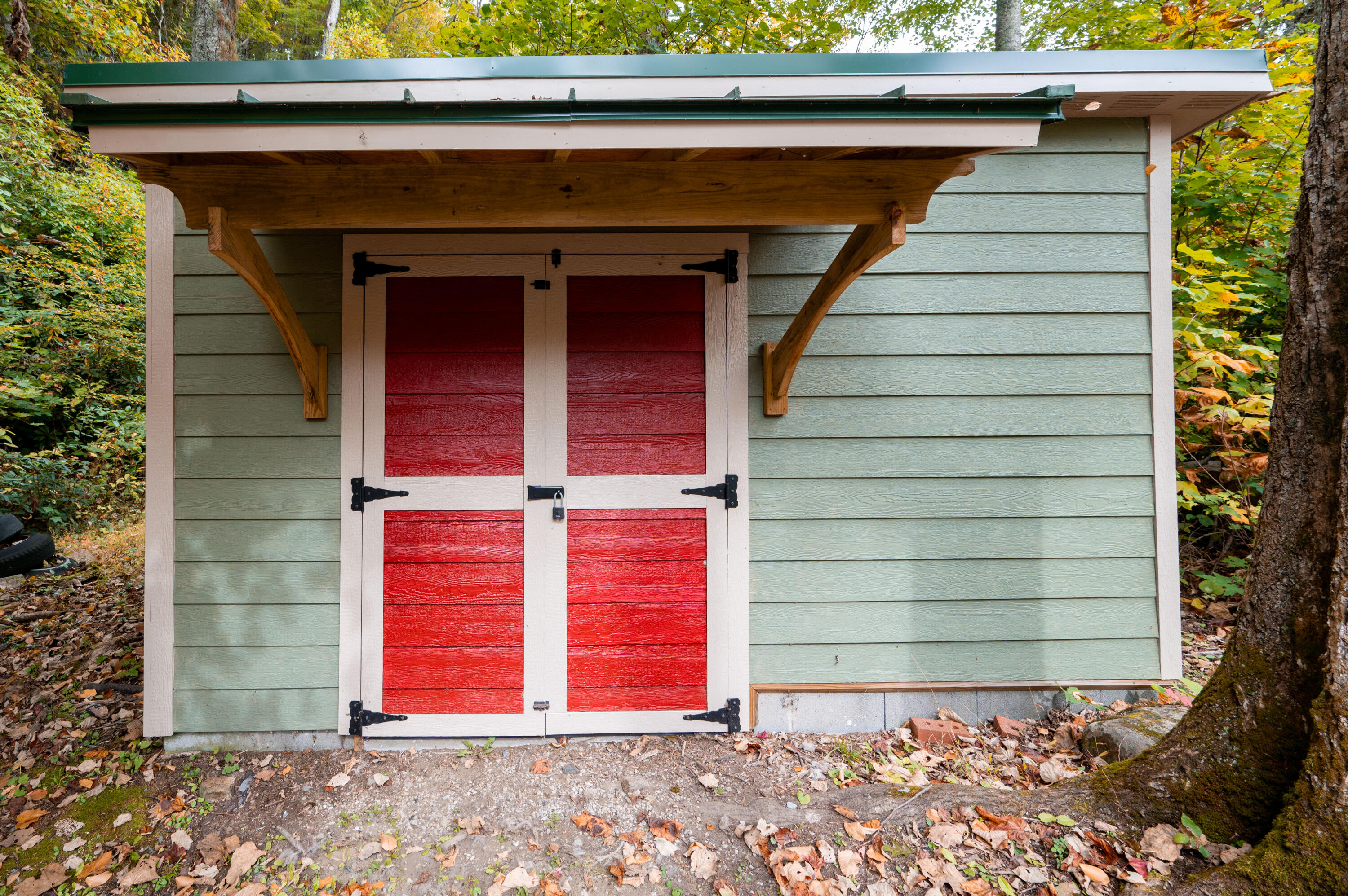 860 Flat Ridge Road Sugar Grove, VA 24375 - Photo 66 of 92 Marion-67