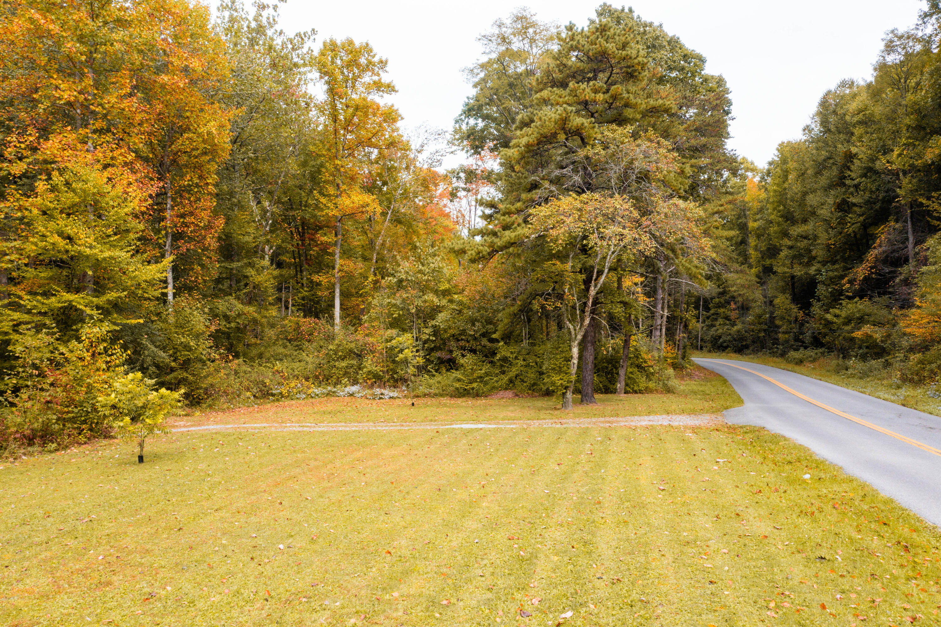 860 Flat Ridge Road Sugar Grove, VA 24375 - Photo 84 of 92 Marion-89