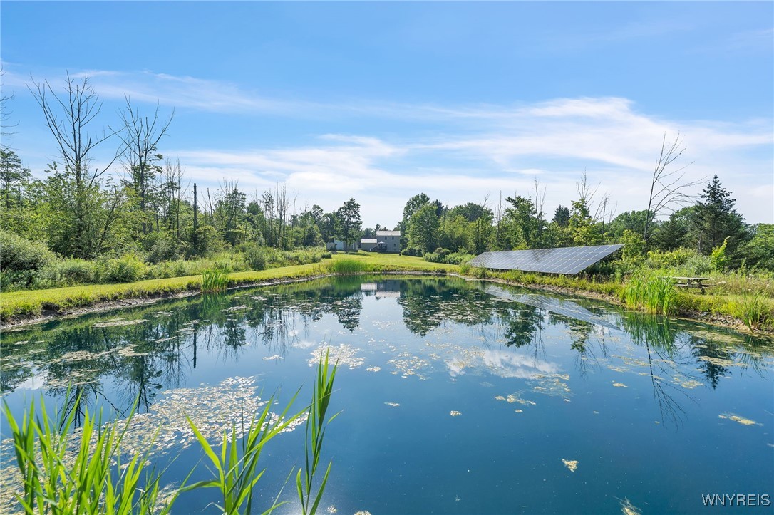 1845 Maxon Road Bennington, NY 14011 - Photo 8 of 50 Stocked Pond dug 2023