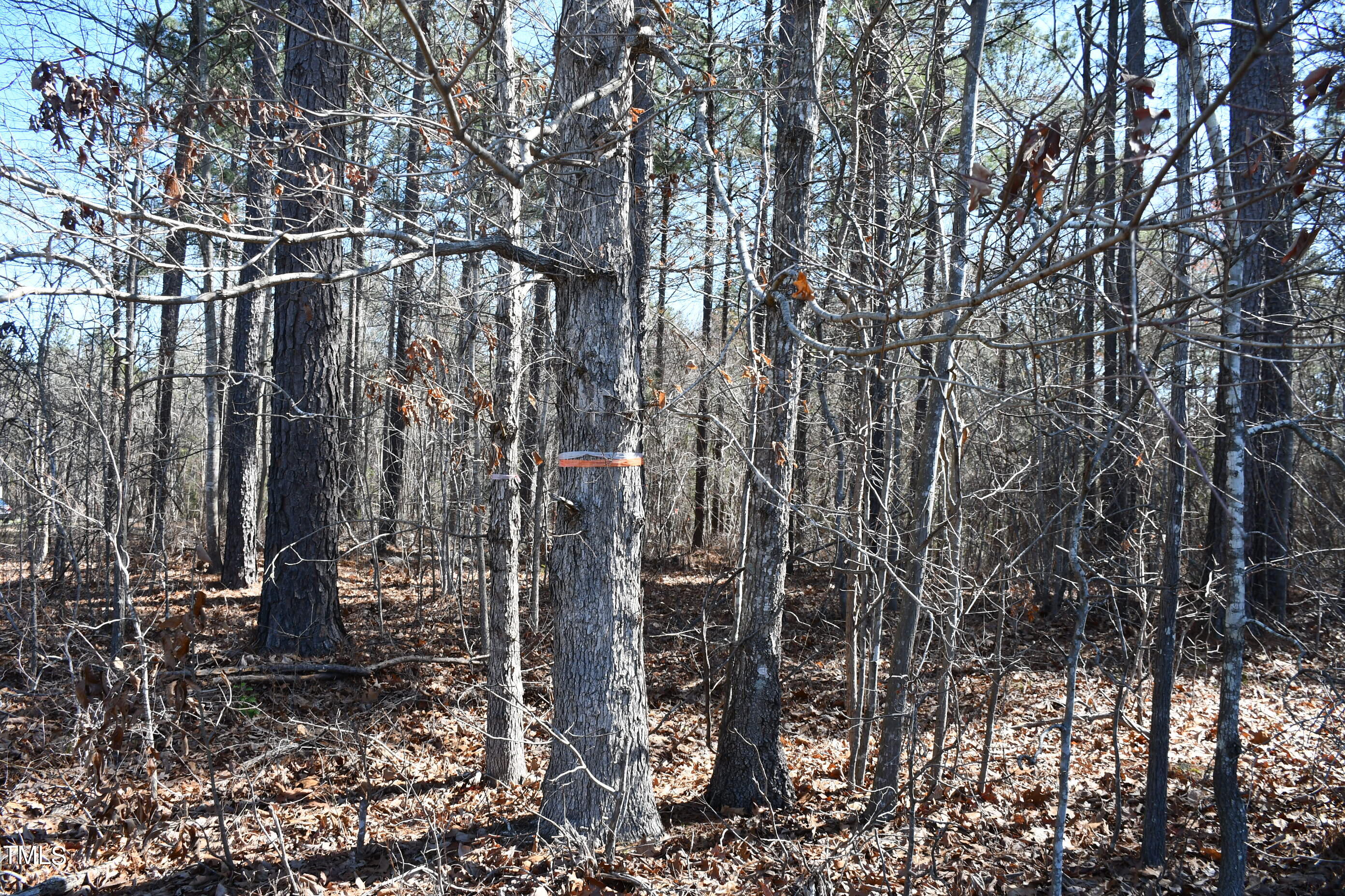 705 Gade Bryant Road Moncure, NC 27559 - Photo 8 of 11 DSC_7892