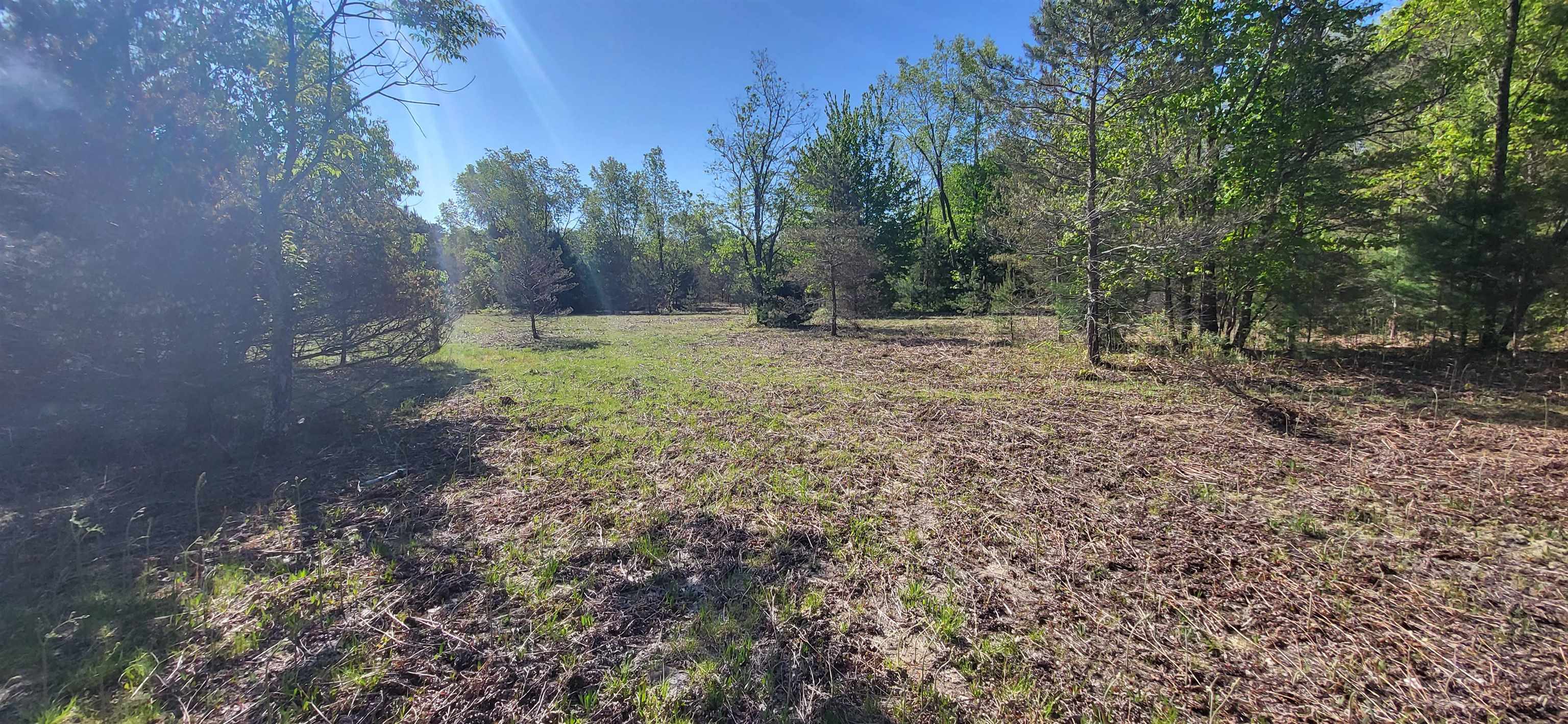 Tbd Rudman Road Thompsonville, MI 49683 - Photo 5 of 14 Gallery Image 5