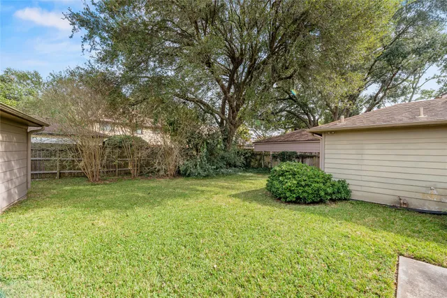 a view of a backyard with potted plants and large tree