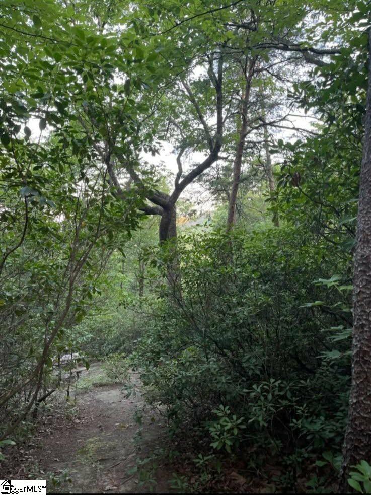 0 Geer Highway Cleveland, SC 29635 - Photo 6 of 15