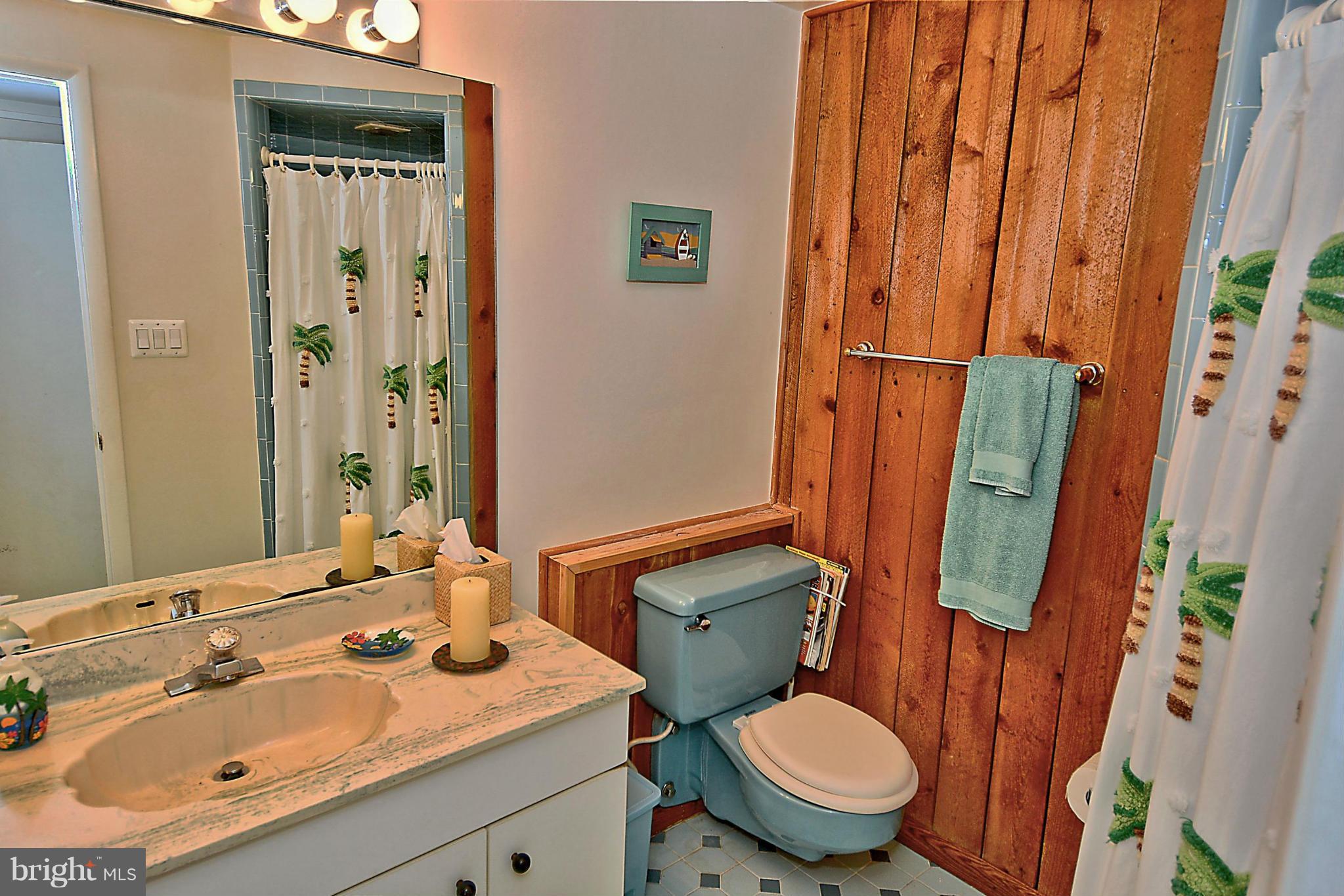 10809 Nicholsridge Road Great Falls, VA 22066 - Photo 18 of 20 Bath Lower Level