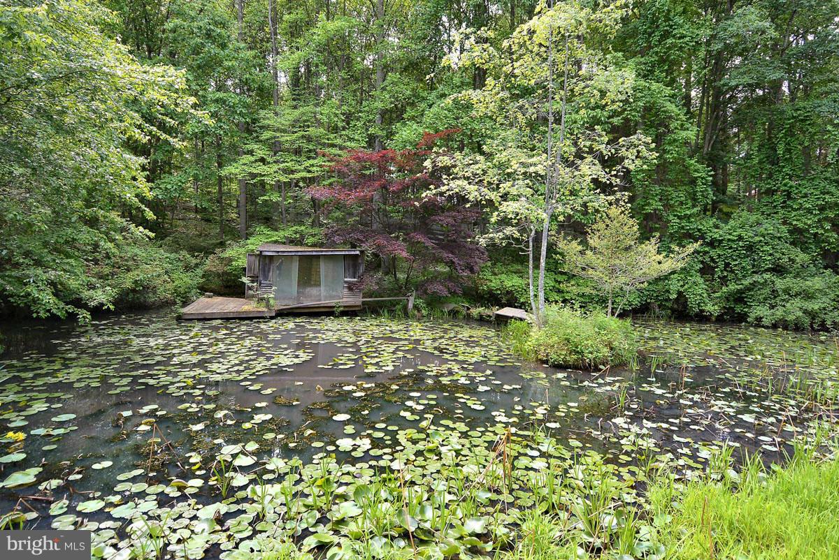 10809 Nicholsridge Road Great Falls, VA 22066 - Photo 3 of 20 Pond