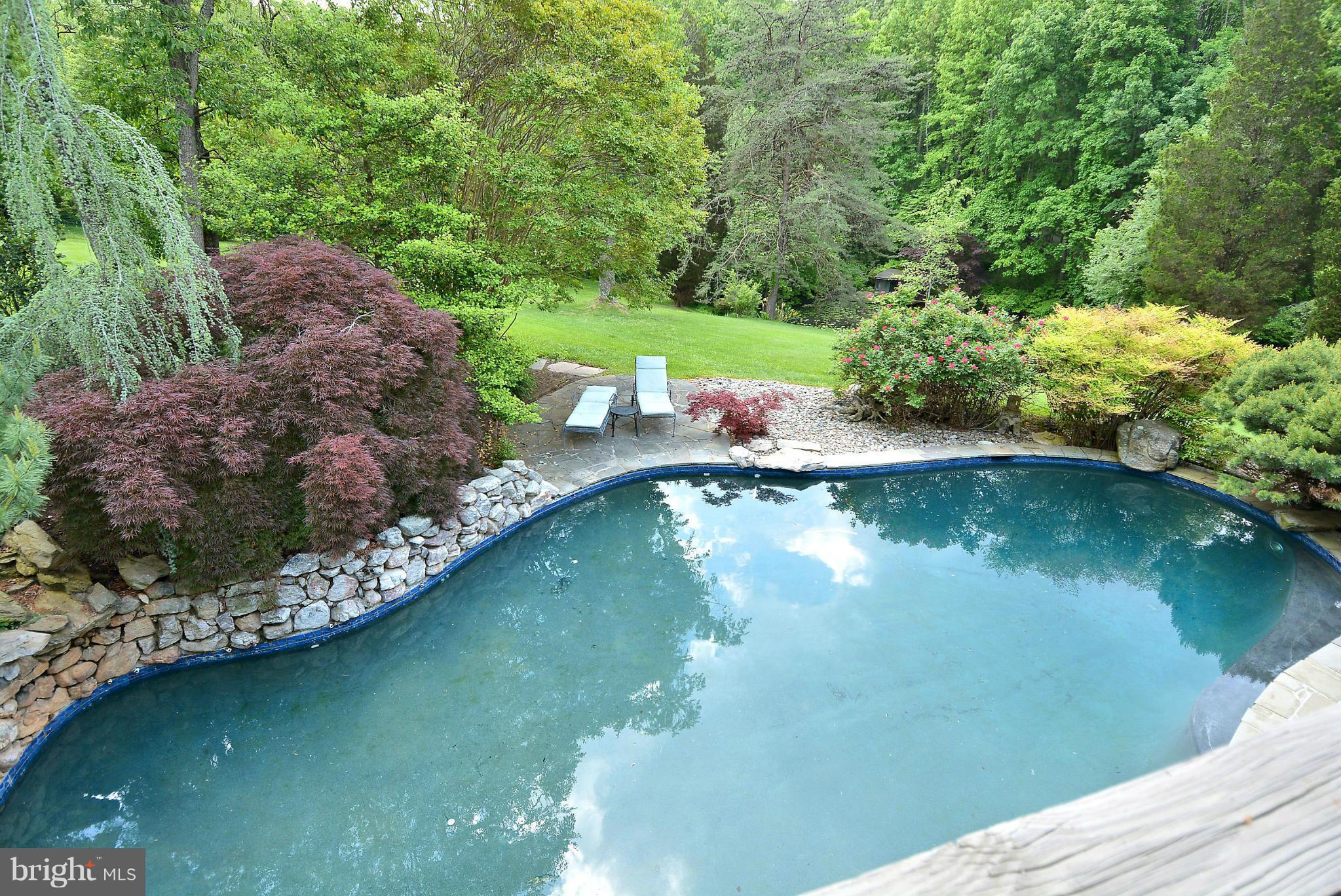 10809 Nicholsridge Road Great Falls, VA 22066 - Photo 4 of 20 Exterior Pool
