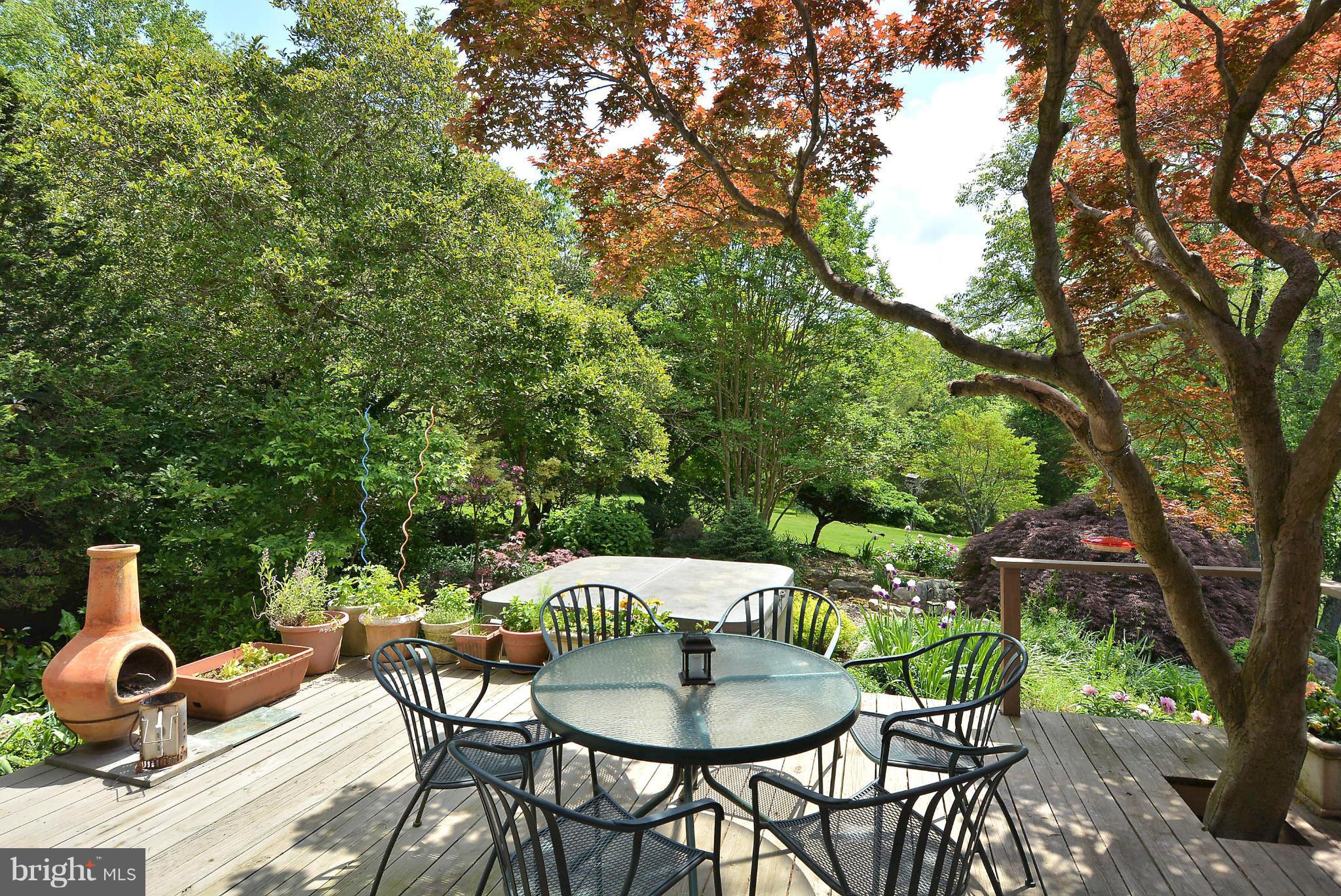 10809 Nicholsridge Road Great Falls, VA 22066 - Photo 6 of 20 Deck