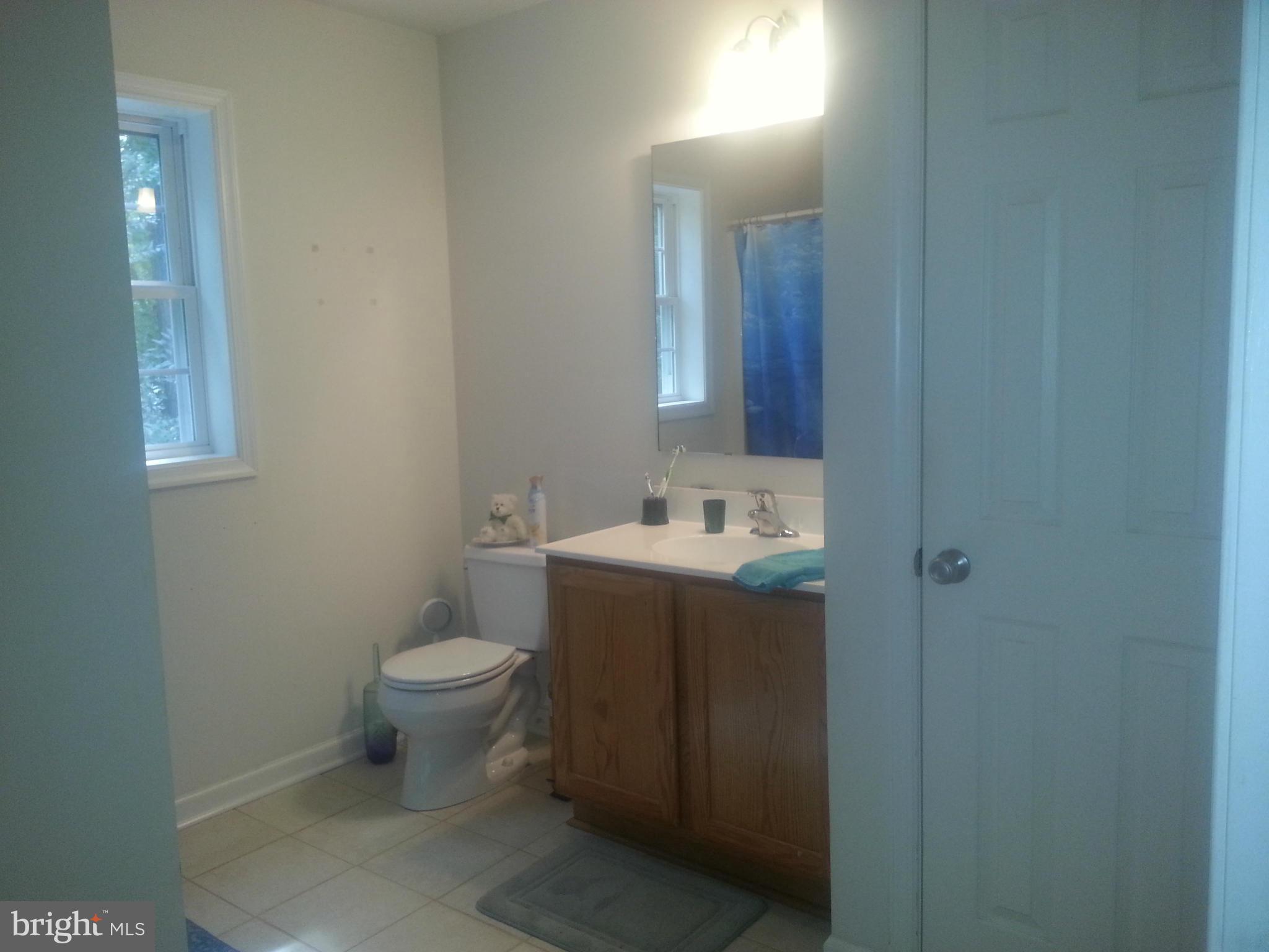6742 Pine Top Road Hurlock, MD 21643 - Photo 19 of 30 Bath (Master)