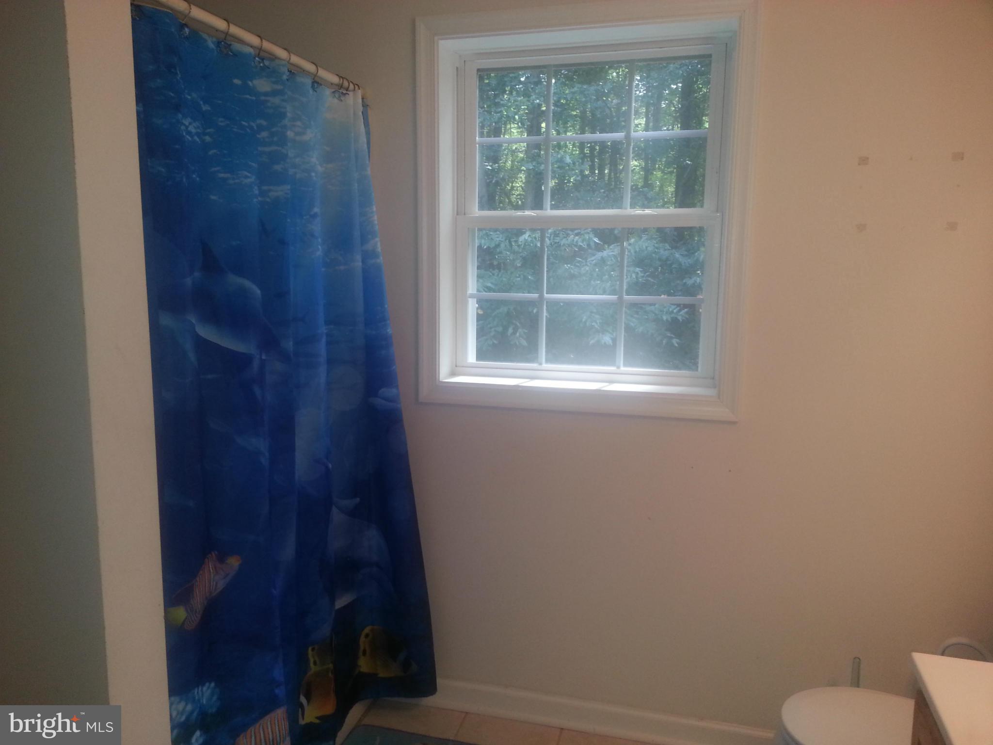 6742 Pine Top Road Hurlock, MD 21643 - Photo 20 of 30 Bath (Master)