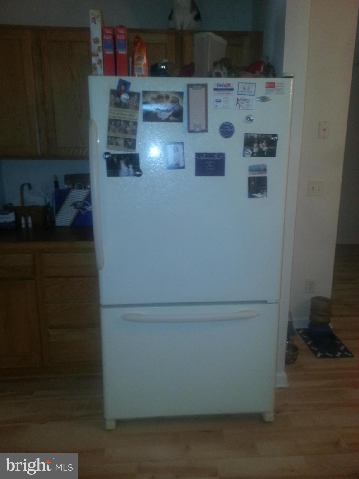 6742 Pine Top Road Hurlock, MD 21643 - Photo 6 of 30 Fridge w/Bottom Freezer