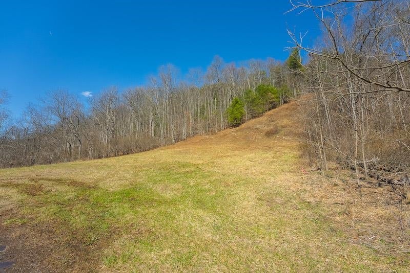 Tbd Stillhouse Road Laurel Fork, VA 24352 - Photo 5 of 64 Gallery Image 5