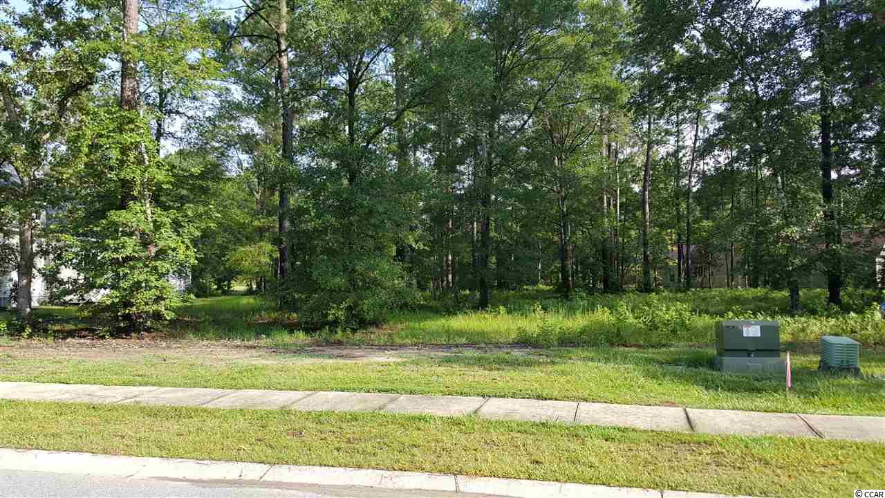 Lot 334 Timmerman Road Myrtle Beach, SC 29588 - Photo 1 of 25 Gallery Image 1