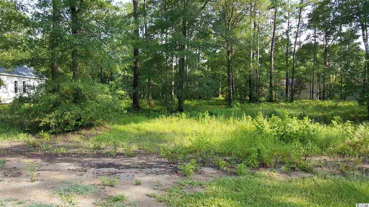 Lot 334 Timmerman Road Myrtle Beach, SC 29588 - Photo 3 of 25 Gallery Image 3