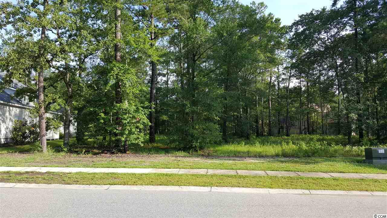 Lot 334 Timmerman Road Myrtle Beach, SC 29588 - Photo 4 of 25 Gallery Image 4