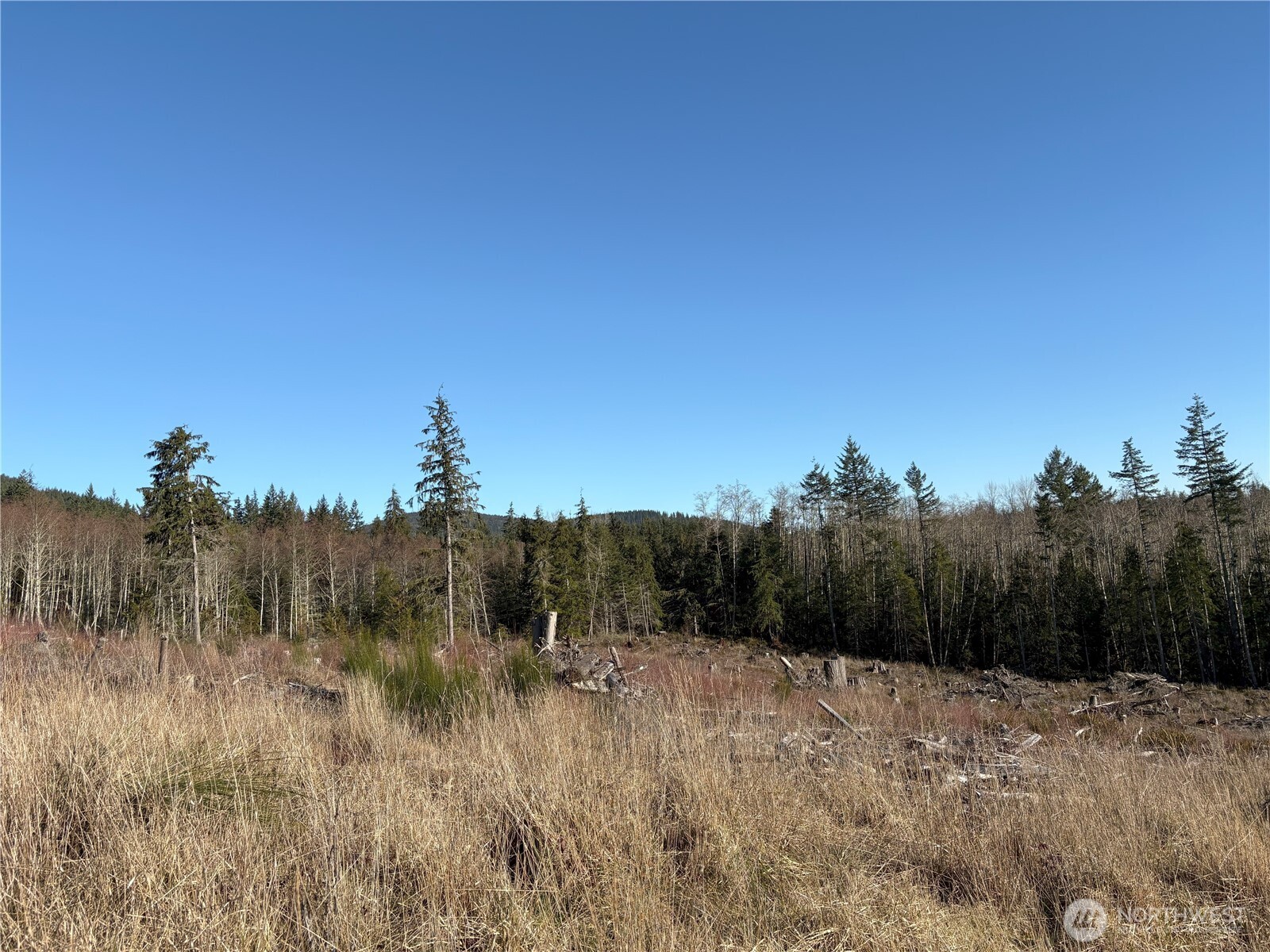 0 B-1000 Road Sequim, WA 98382 - Photo 7 of 16