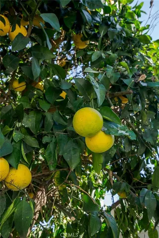 $4,500 | 1123 North Lowell Street, Santa Ana, CA 92703