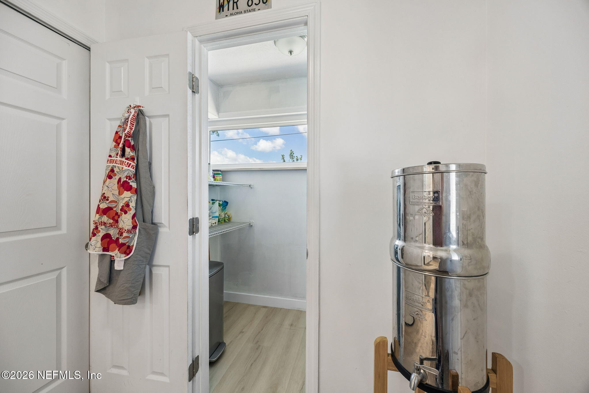 455 Irex Road Atlantic Beach, FL 32233 - Photo 13 of 60 Walk in Pantry
