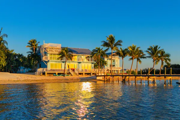an aerial view of a house with a yard and lake view