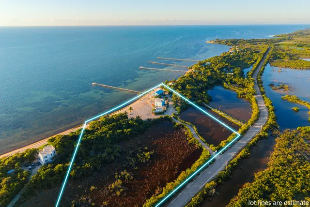 a palm tree sitting in front of a house with a yard