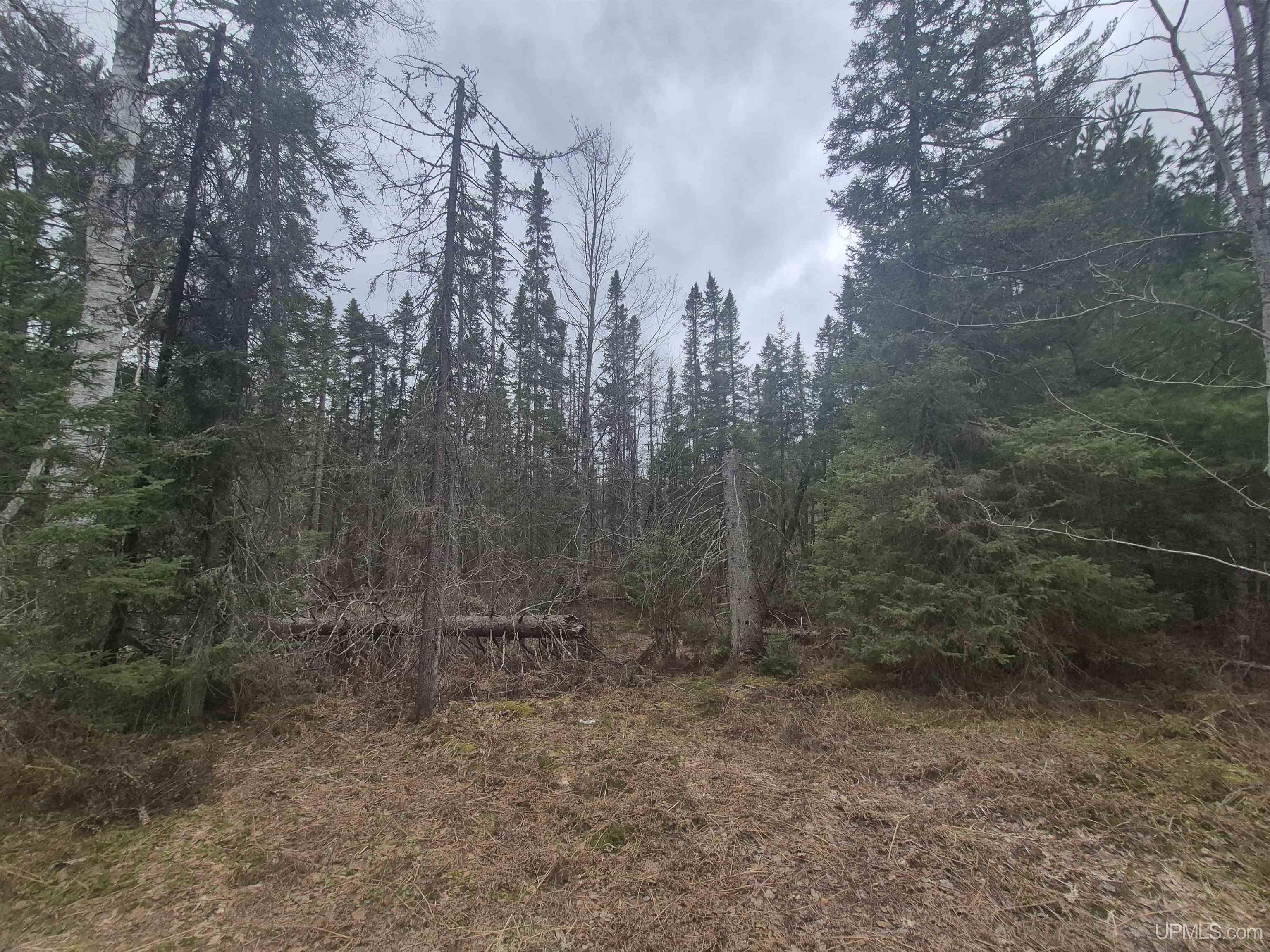 13551 County Road CS Road Ishpeming, MI 49849 - Photo 31 of 40