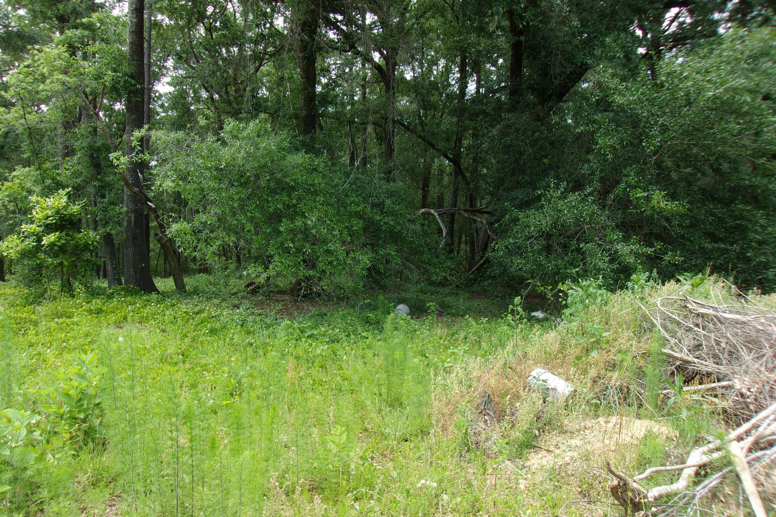 5902 Roberts Road Crestview, FL 32536 - Photo 5 of 11 100_0281