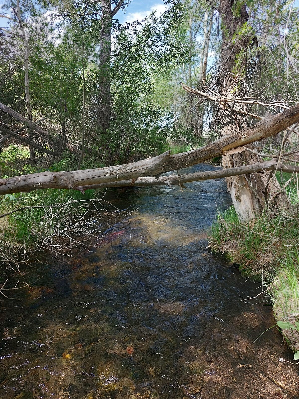 63001 Cc Road, Unit COUNTY Moffat, CO 81143 - Photo 9 of 12