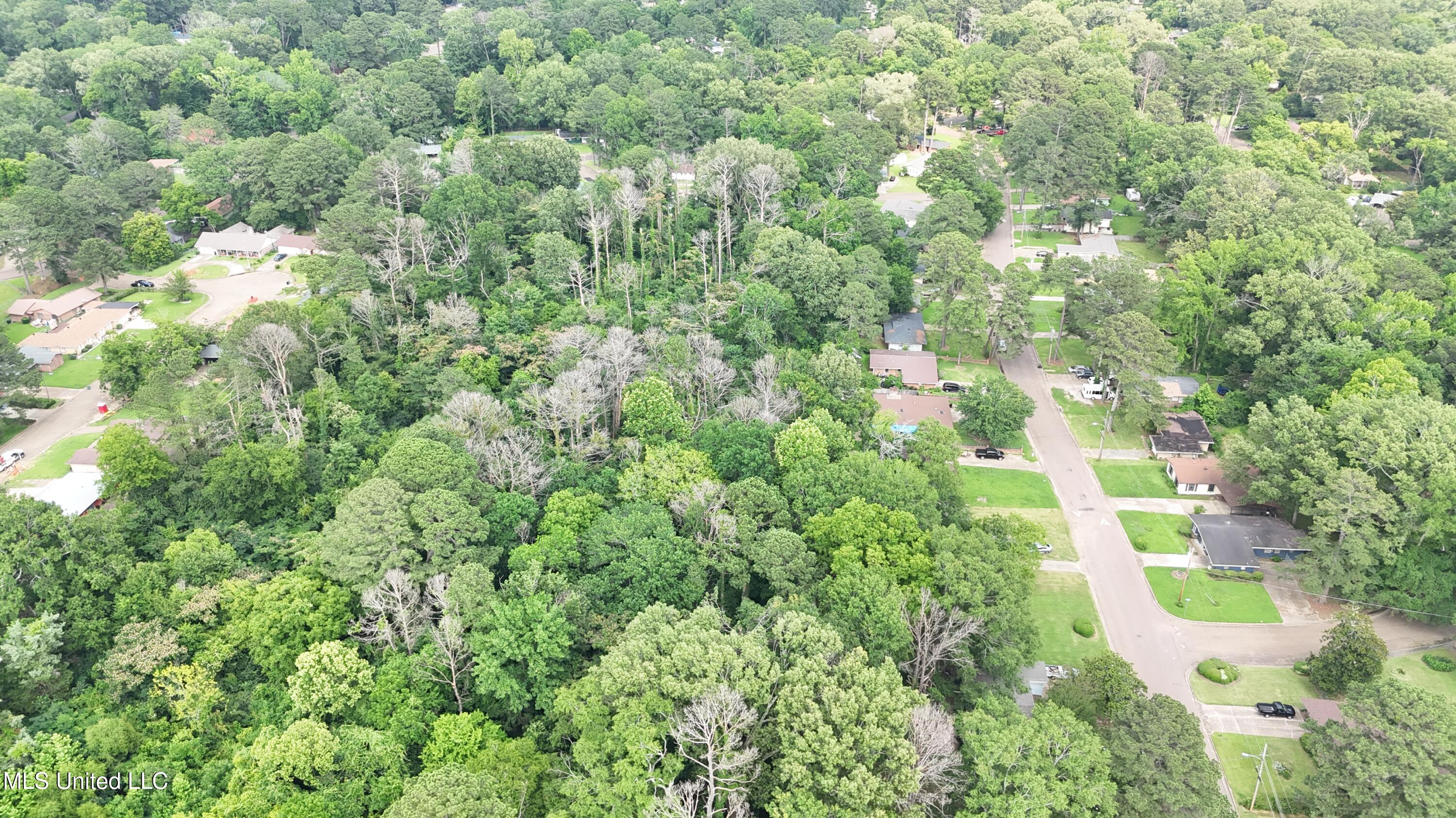 0 Watkins Drive Jackson, MS 39206 - Photo 12 of 12 Lot view