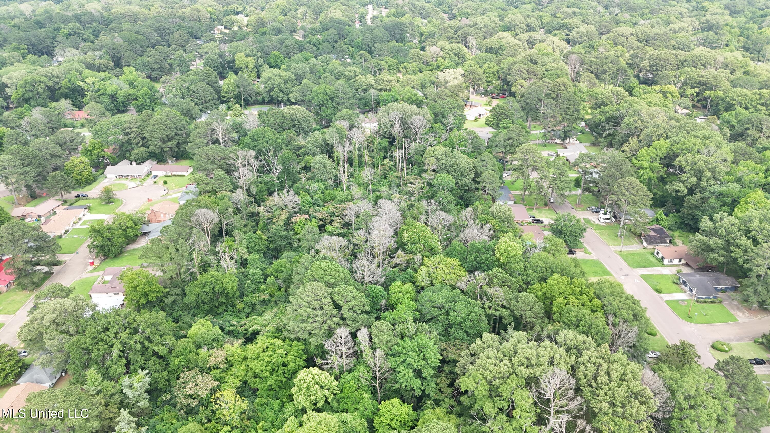 0 Watkins Drive Jackson, MS 39206 - Photo 2 of 12 Lot view