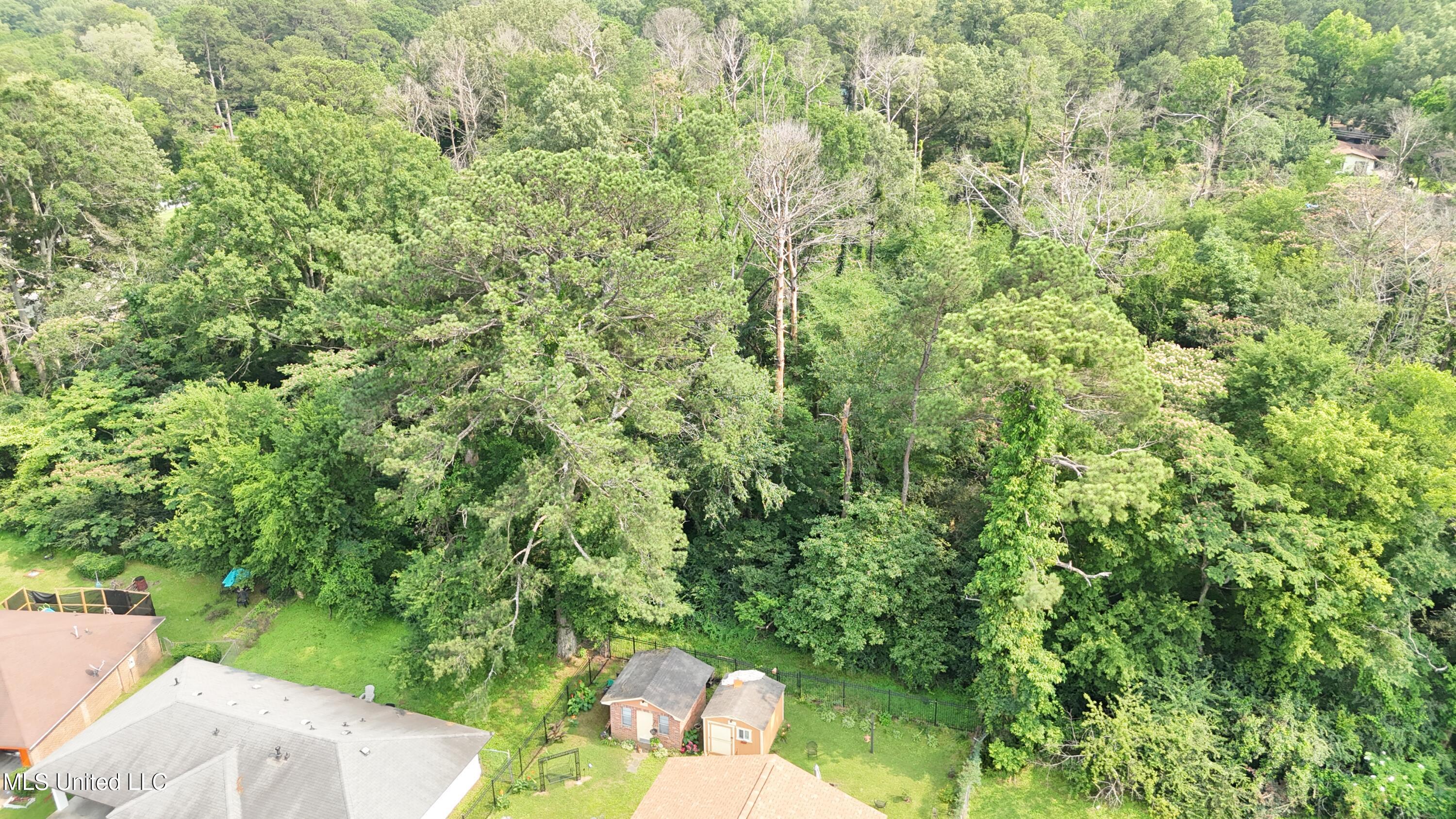 0 Watkins Drive Jackson, MS 39206 - Photo 4 of 12 Lot view