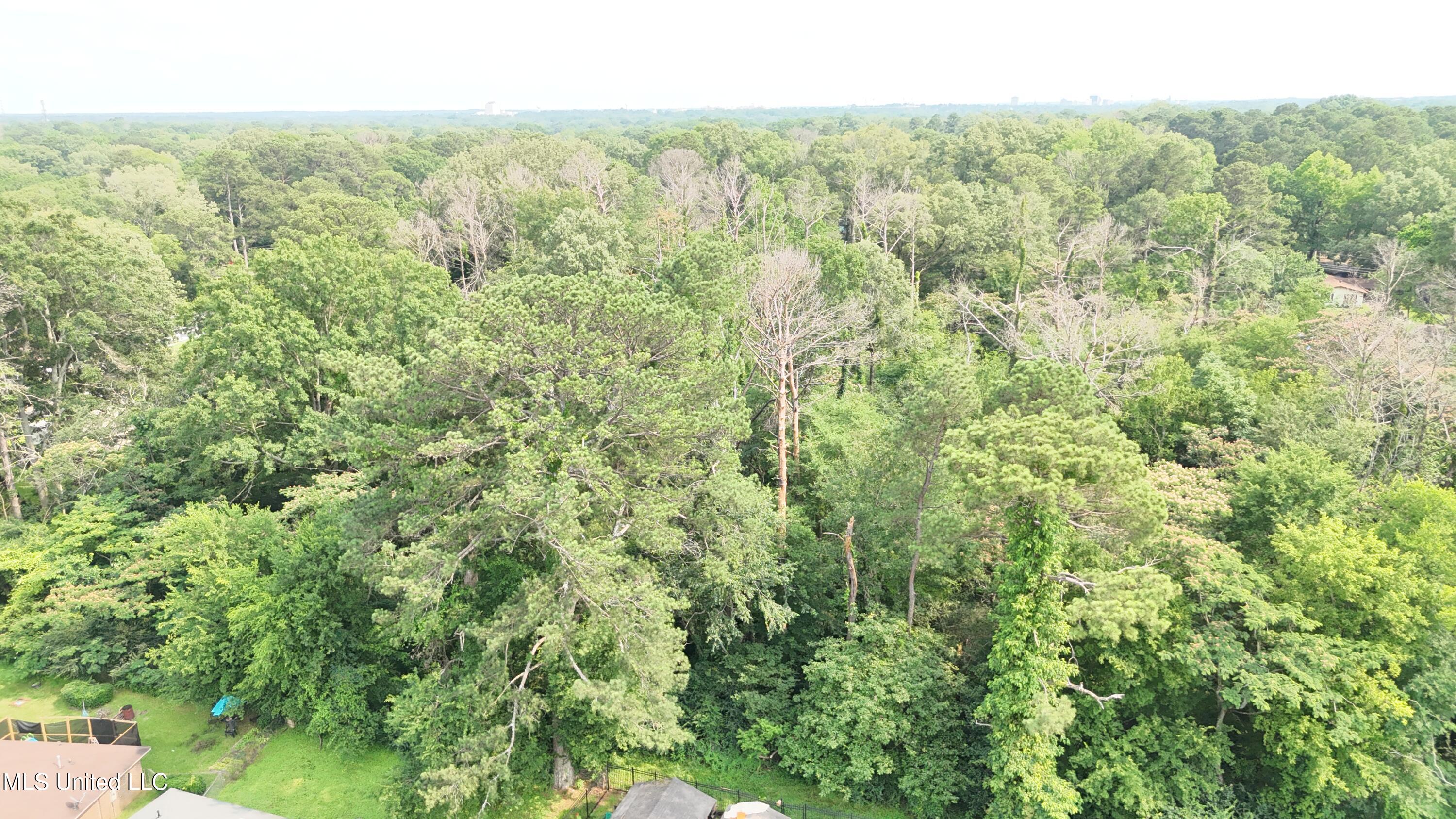 0 Watkins Drive Jackson, MS 39206 - Photo 5 of 12 Lot view