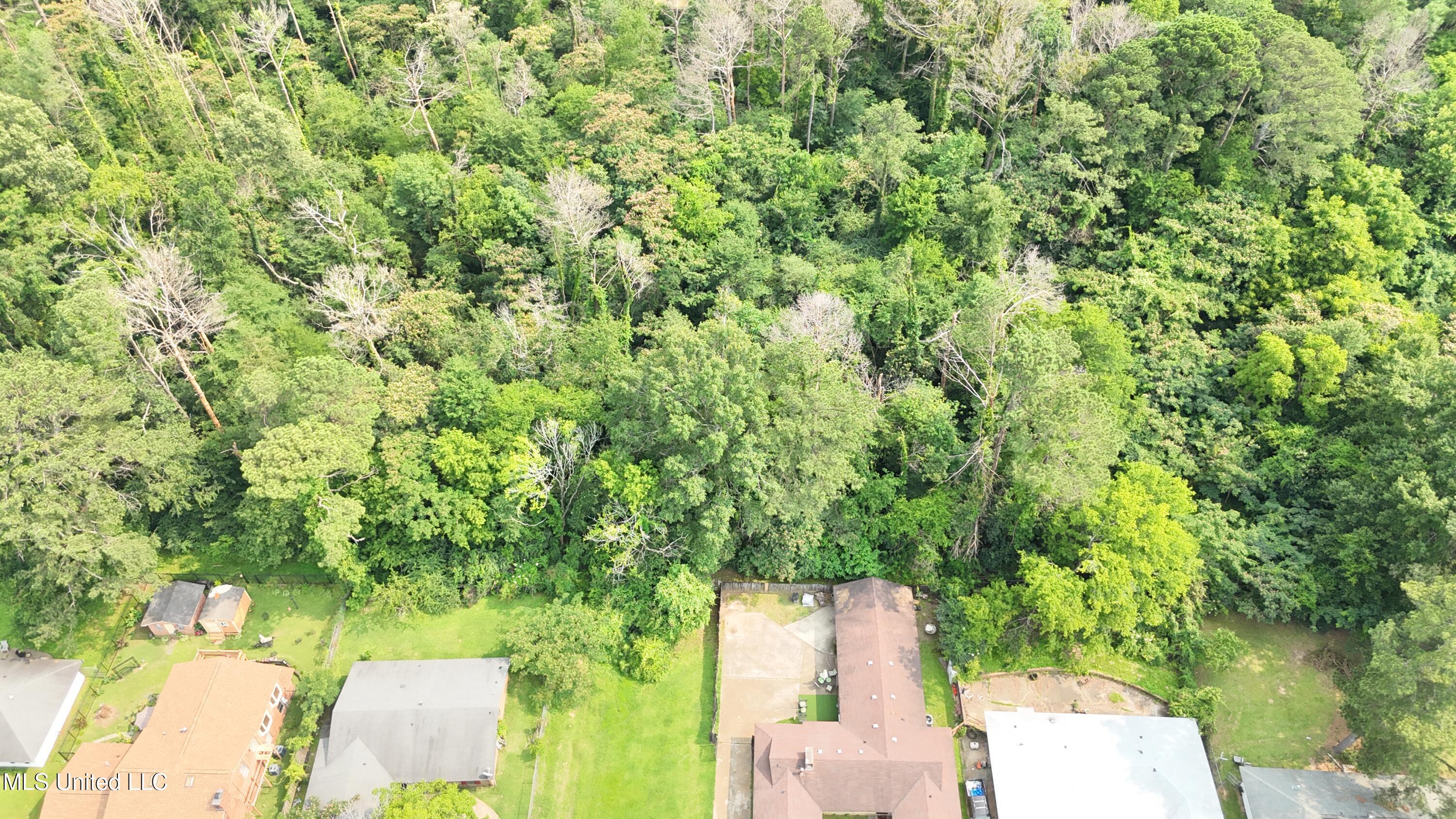 0 Watkins Drive Jackson, MS 39206 - Photo 8 of 12 Lot View