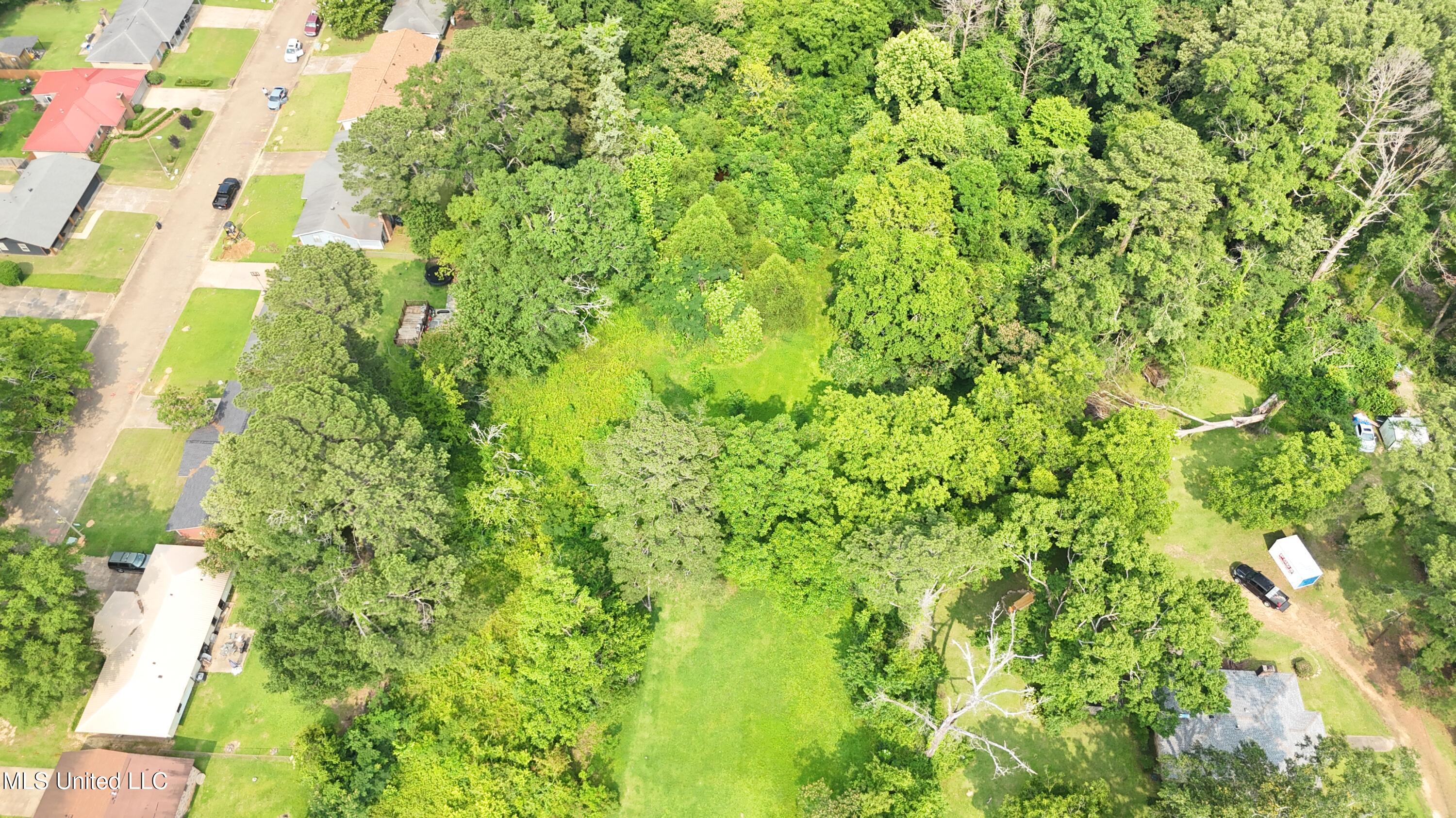 0 Watkins Drive Jackson, MS 39206 - Photo 10 of 12 Lot view
