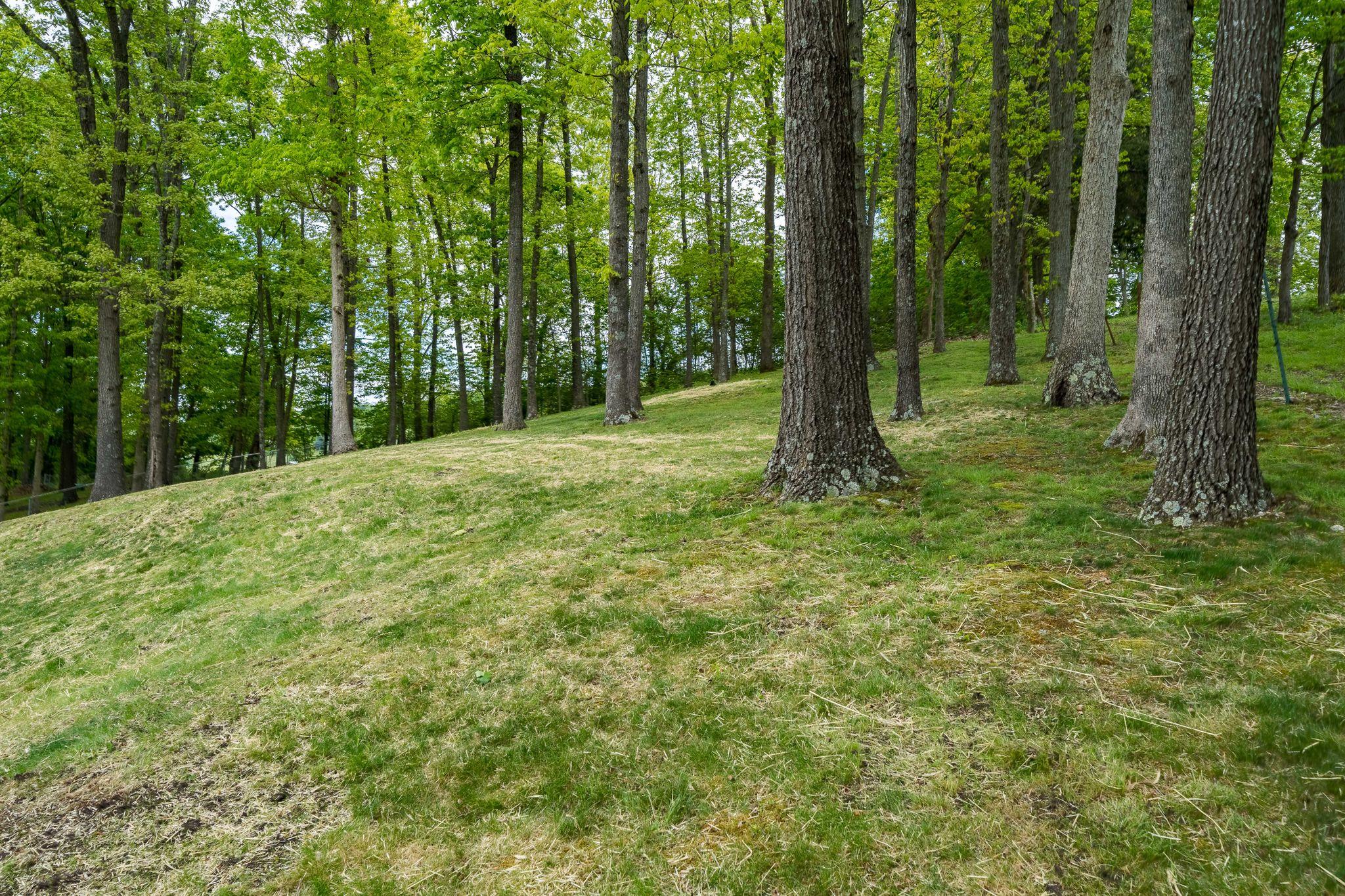 360 Boonesboro Road Gray, TN 37615 - Photo 45 of 47 360 Boonesboro Road, Gray TN (18 of 49)