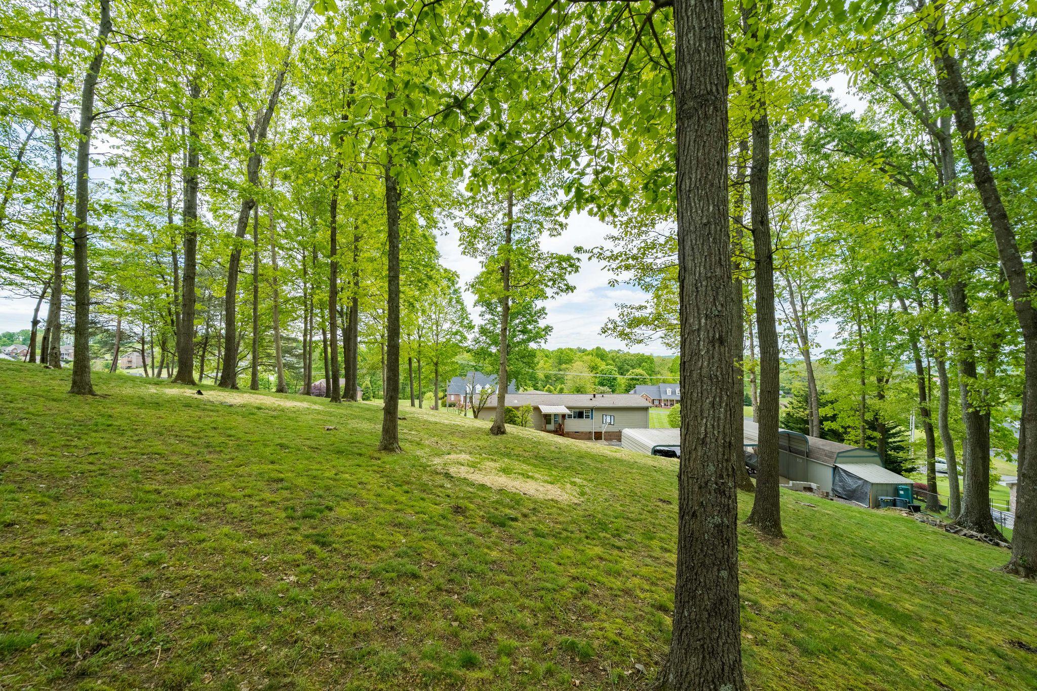 360 Boonesboro Road Gray, TN 37615 - Photo 46 of 47 360 Boonesboro Road, Gray TN (22 of 49)