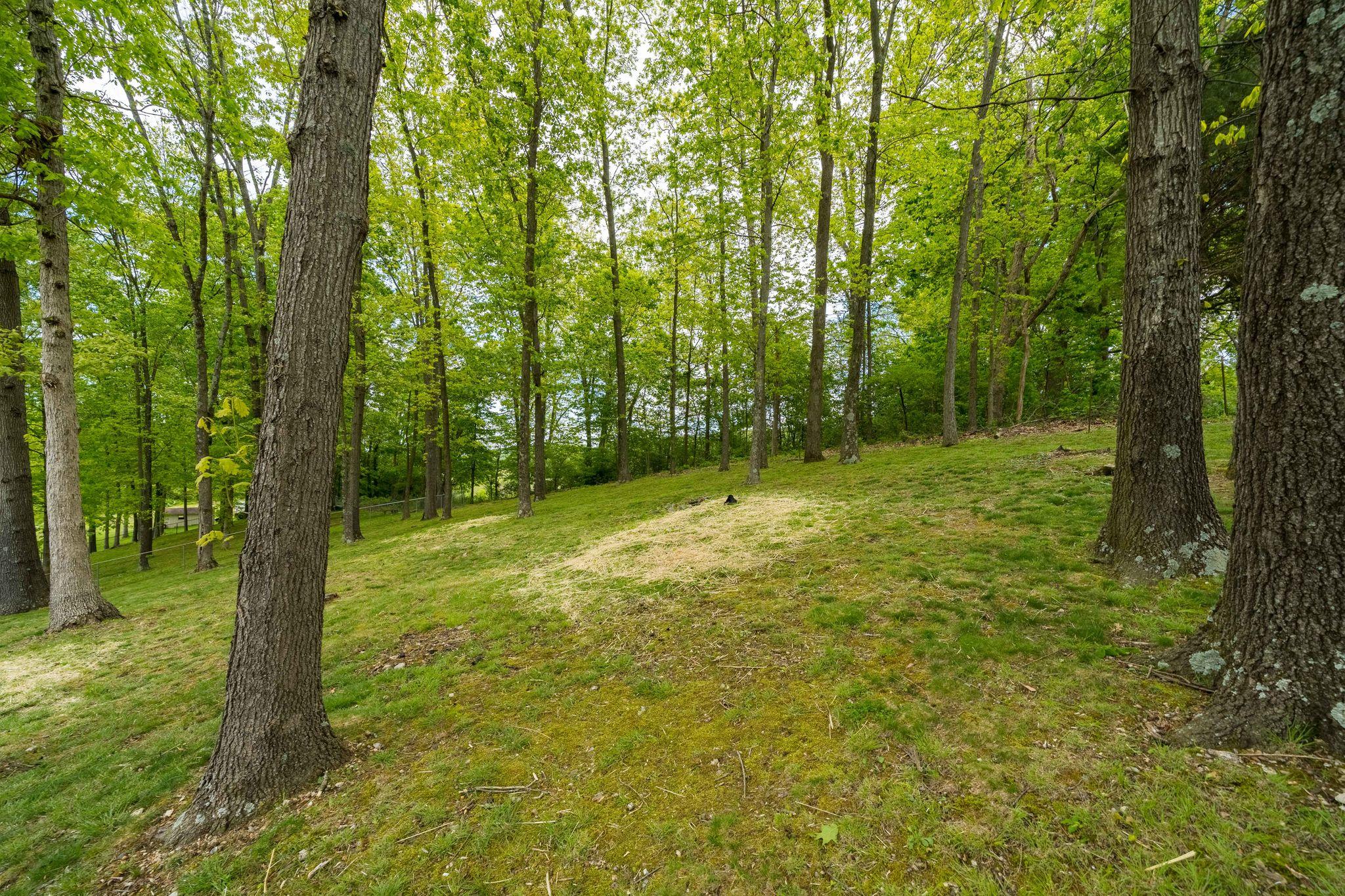 360 Boonesboro Road Gray, TN 37615 - Photo 47 of 47 360 Boonesboro Road, Gray TN (21 of 49)