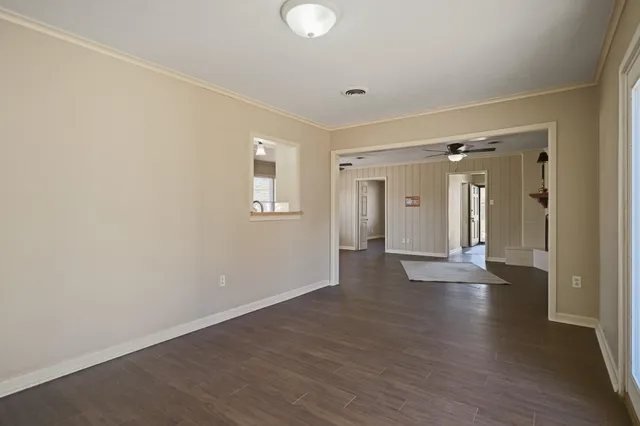 a bathroom with a potted plant on the counter and a mirror