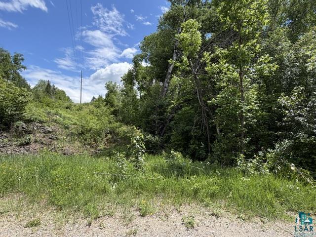 Tbd Trezona Road Ely, MN 55731 - Photo 3 of 22