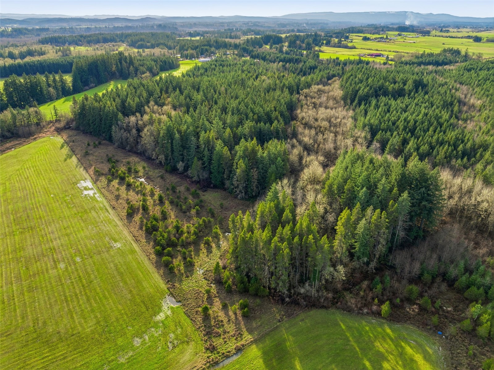 -na Classe Road Ethel, WA 98542 - Photo 4 of 8 a view of a lake with a mountain