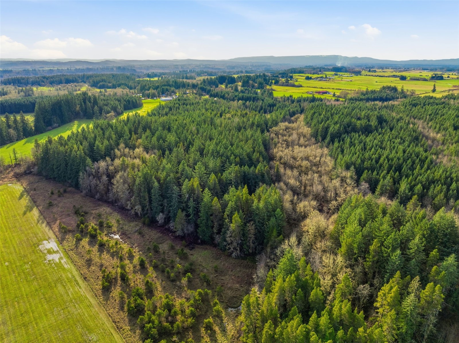 -na Classe Road Ethel, WA 98542 - Photo 6 of 8 a view of an outdoor space and a lake view