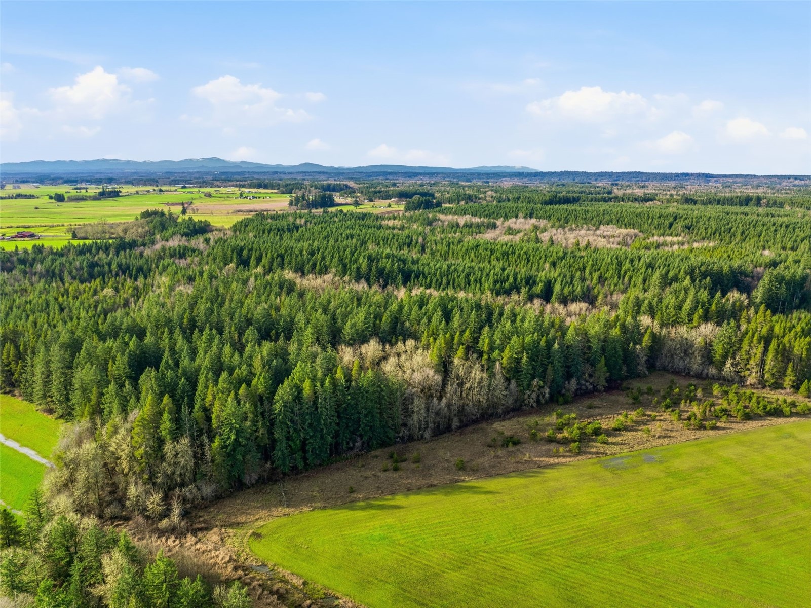 -na Classe Road Ethel, WA 98542 - Photo 7 of 8 a view of a city with lots of green space