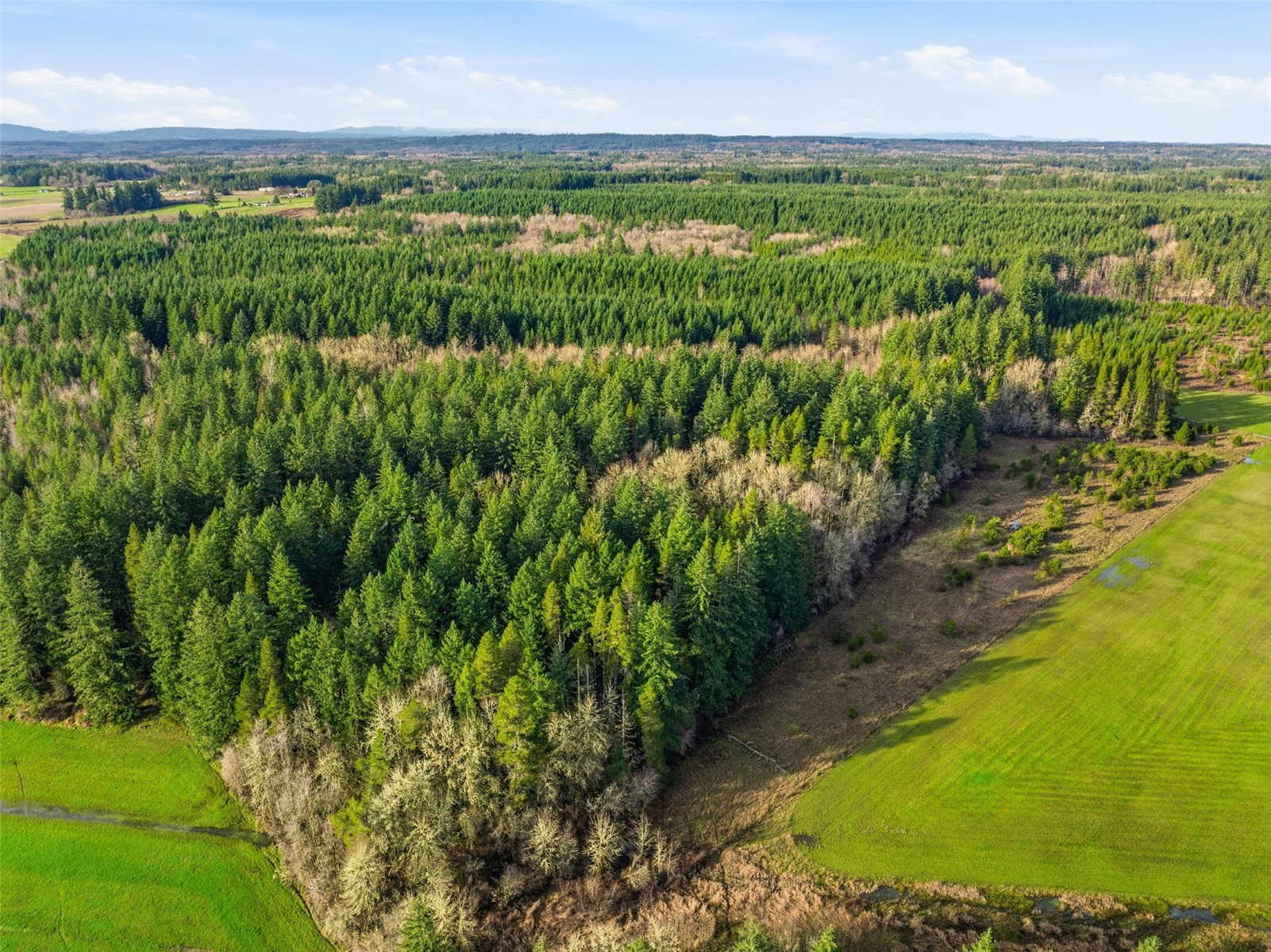 -na Classe Road Ethel, WA 98542 - Photo 8 of 8 a view of a yard with a garden