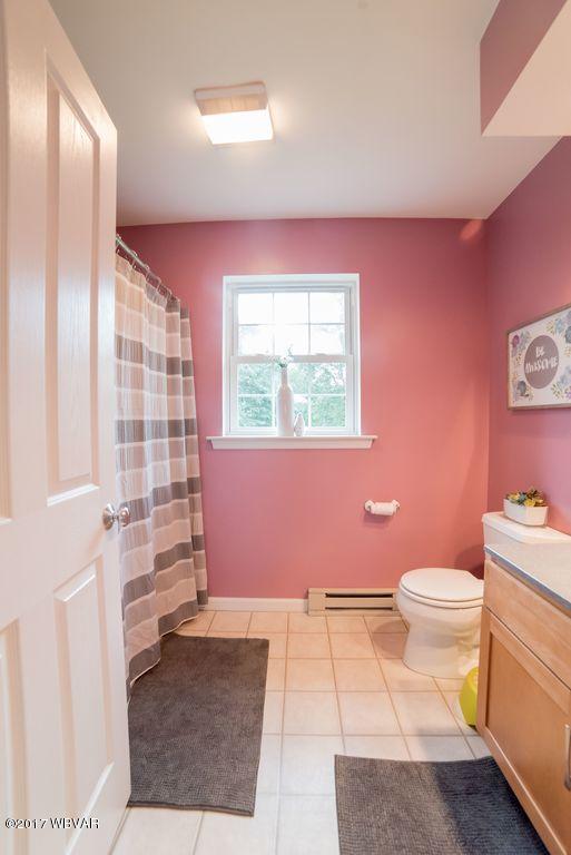 203 Grn Pne Rd Extension Montgomery, PA 17752 - Photo 10 of 12 Full Bath