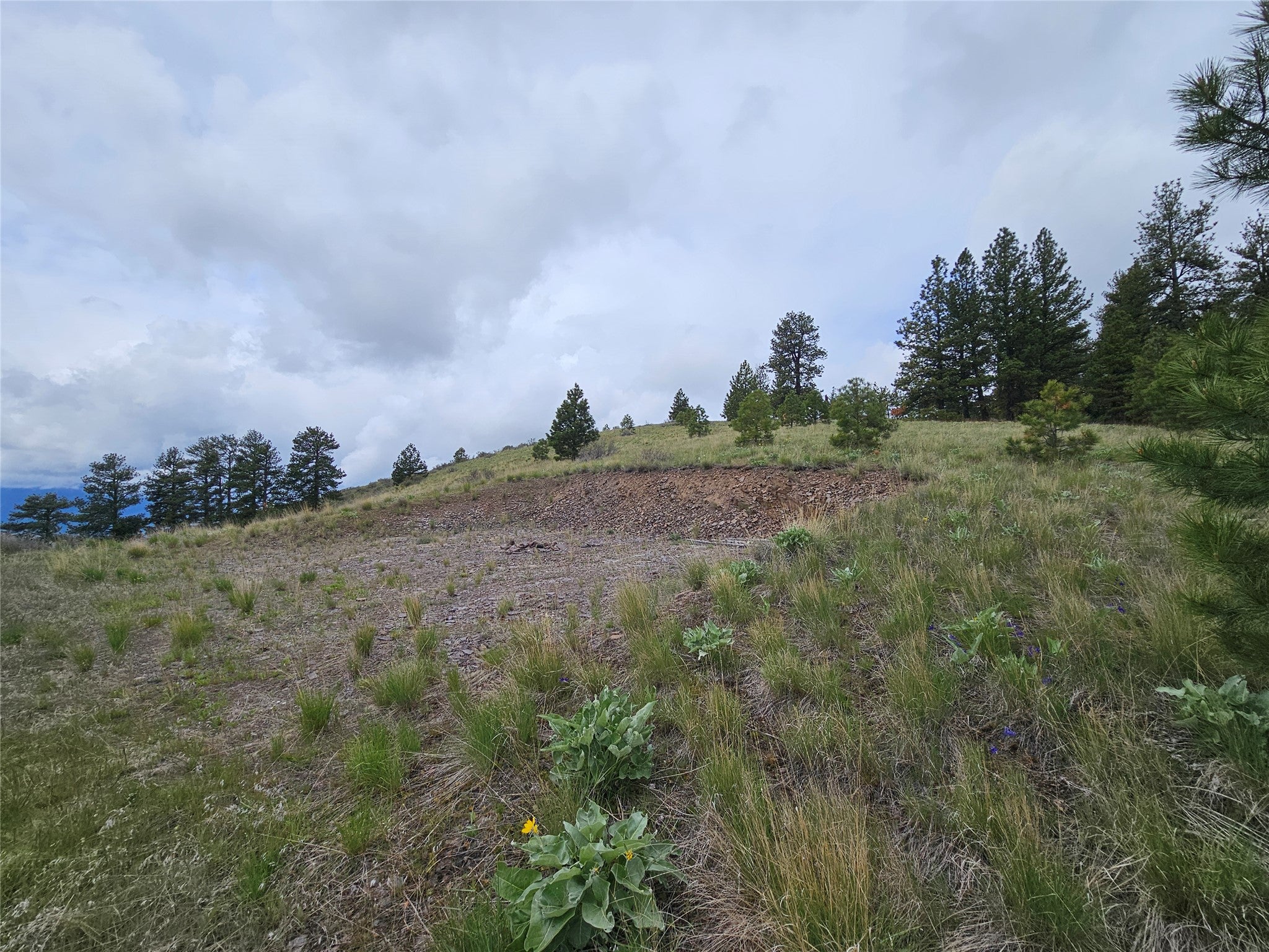 18866 Copper Rdg Trail Florence, MT 59833 - Photo 54 of 139 Gallery Image 54