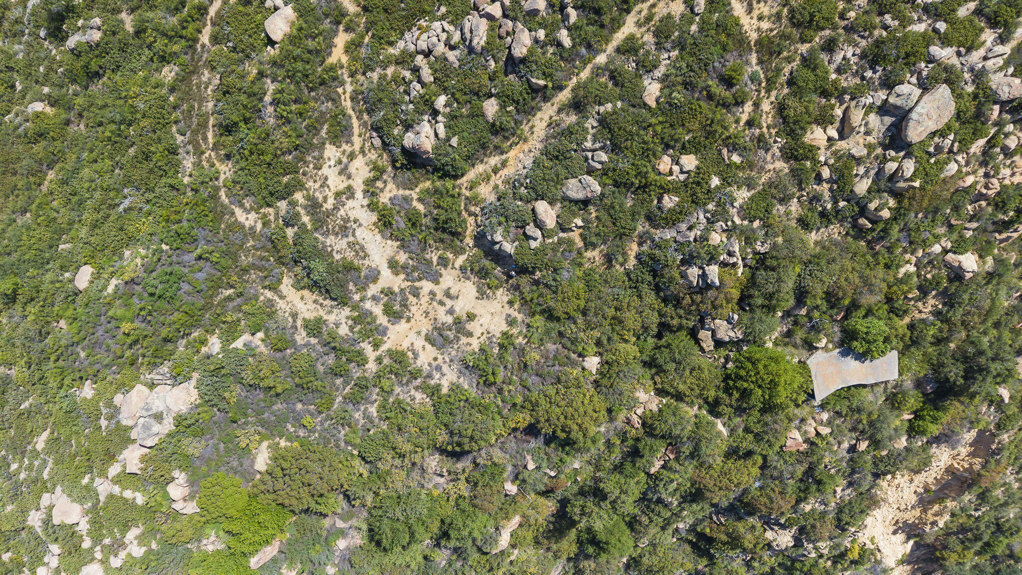 2888 Gibraltar Road Santa Barbara, CA 93105 - Photo 13 of 23 a view of a tree