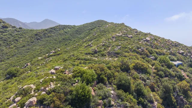 a view of a large building with a mountain in the background