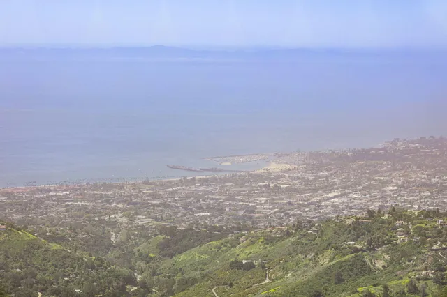 a view of a large trees with lots of trees