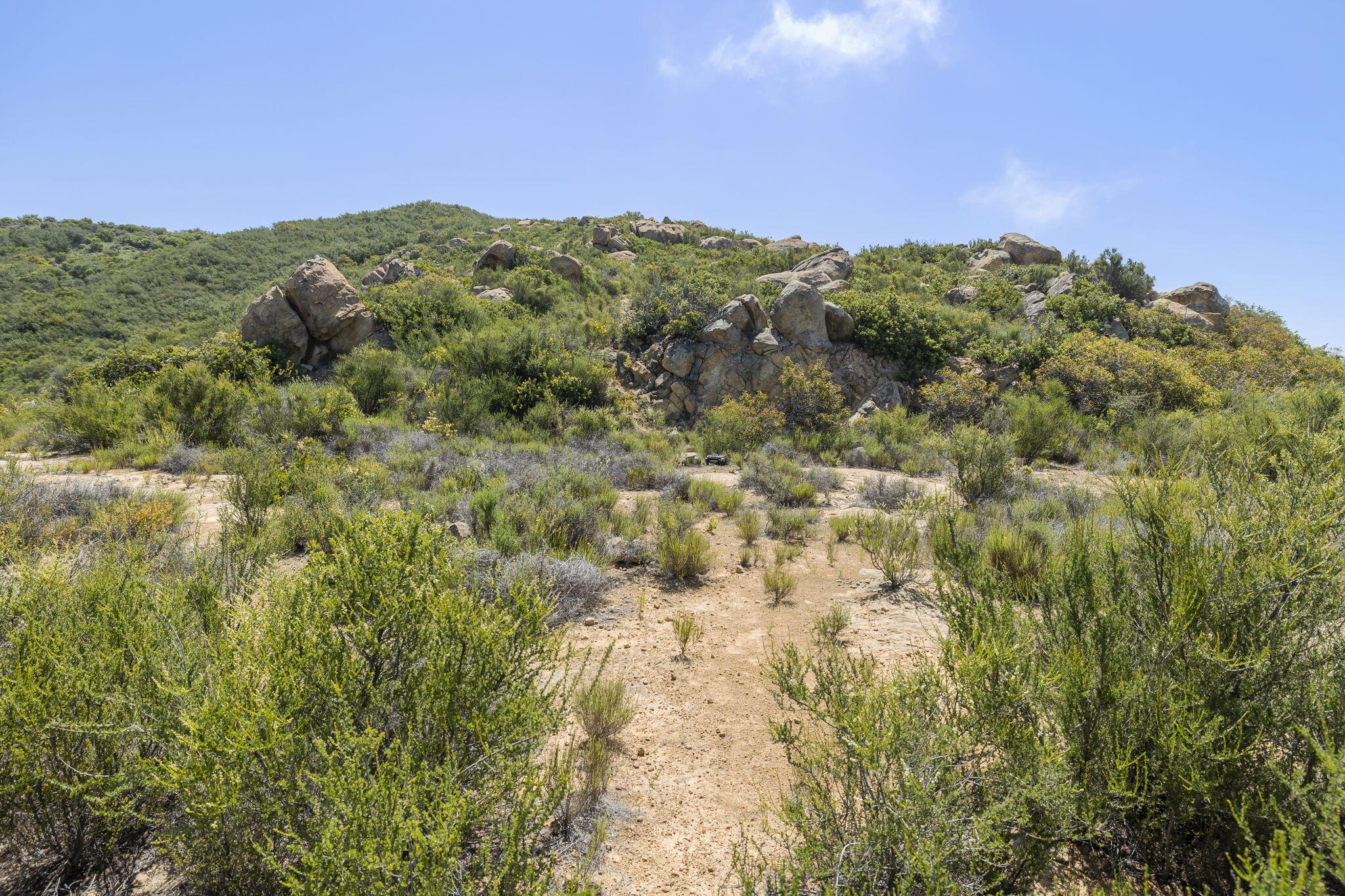 2888 Gibraltar Road Santa Barbara, CA 93105 - Photo 9 of 23 a view of a field with a mountain in the background
