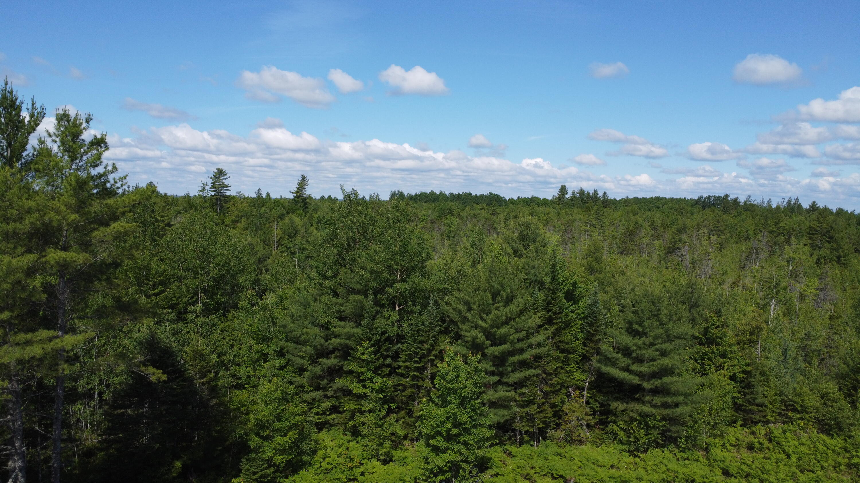 30-007 Cardville Road Greenbush, ME 04418 - Photo 12 of 19 DJI_0072