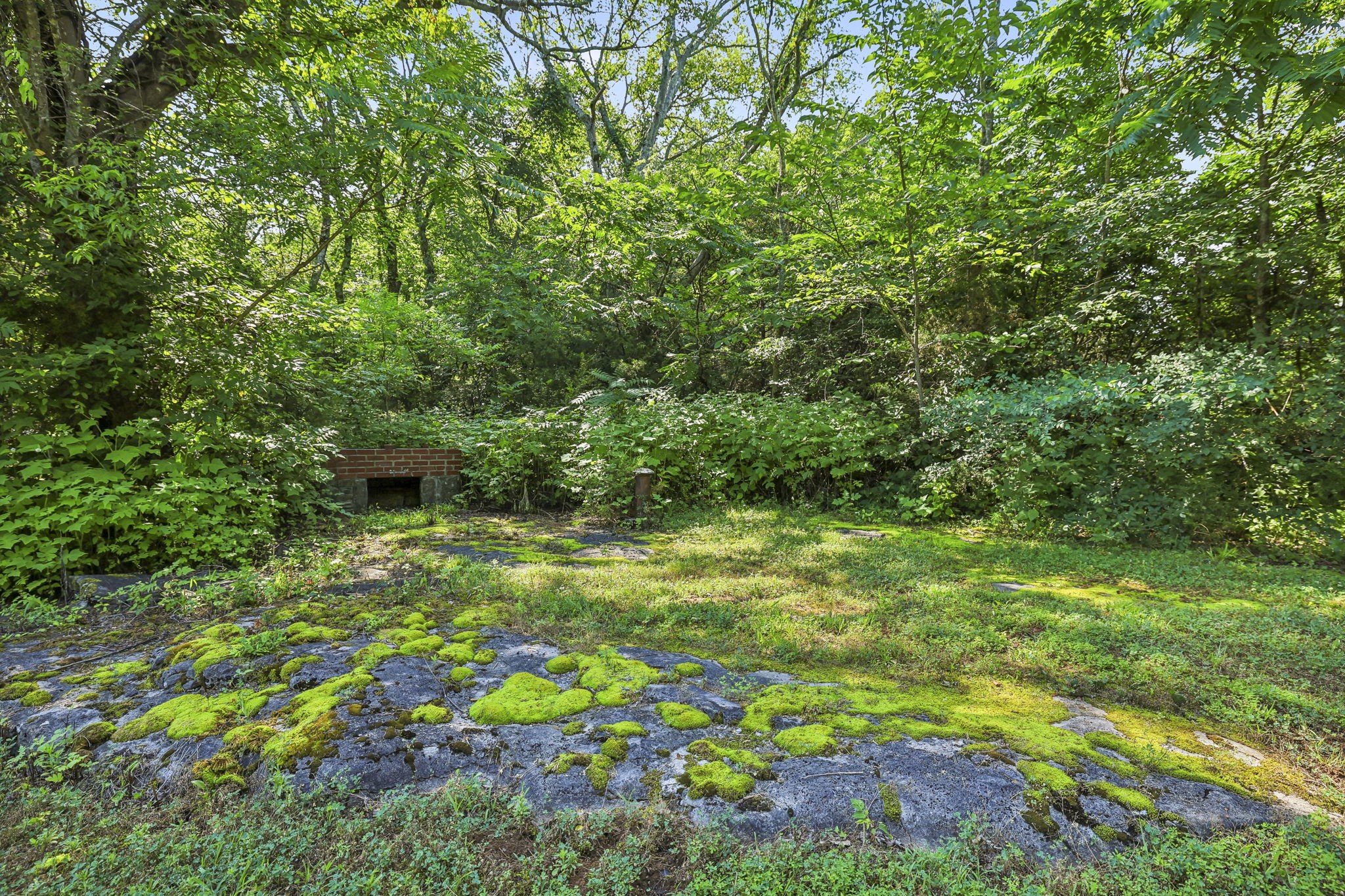 10897 Bunker Hill Road Rockvale, TN 37153 - Photo 8 of 38